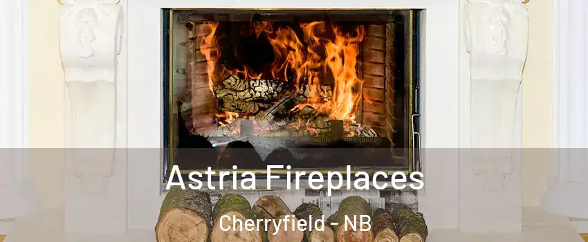  Astria Fireplaces Cherryfield - NB
