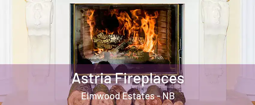  Astria Fireplaces Elmwood Estates - NB