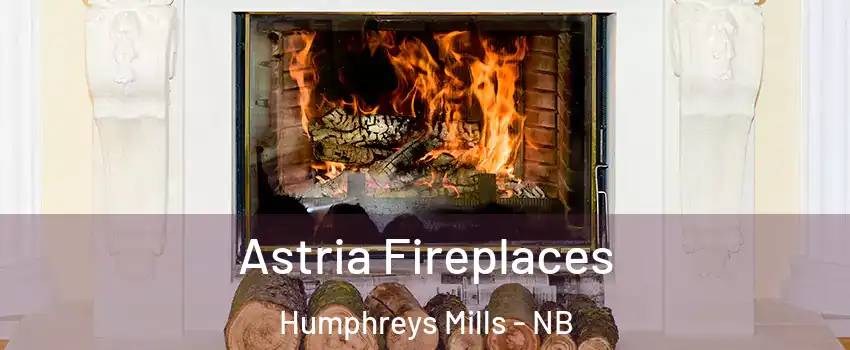  Astria Fireplaces Humphreys Mills - NB
