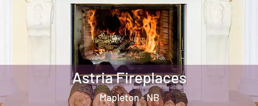  Astria Fireplaces Mapleton - NB