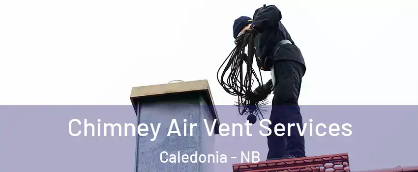  Chimney Air Vent Services Caledonia - NB