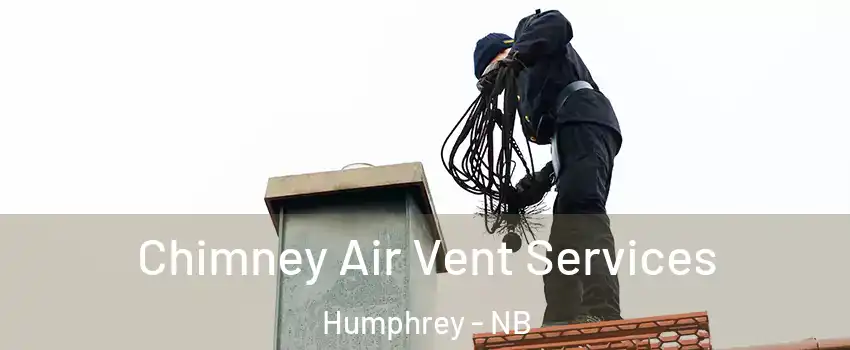  Chimney Air Vent Services Humphrey - NB