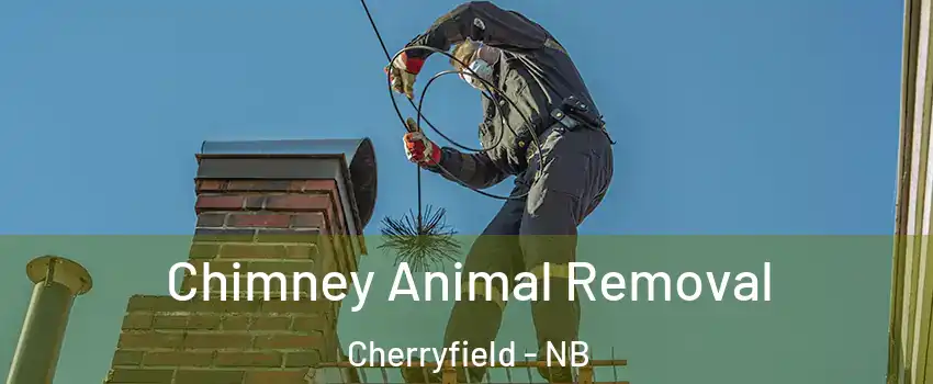 Chimney Animal Removal Cherryfield - NB