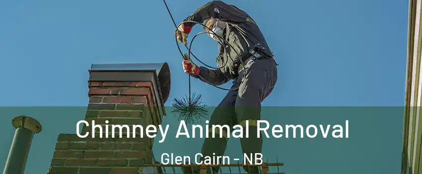 Chimney Animal Removal Glen Cairn - NB
