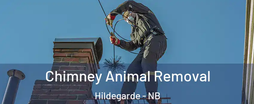 Chimney Animal Removal Hildegarde - NB