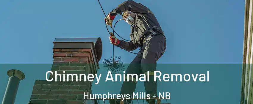  Chimney Animal Removal Humphreys Mills - NB