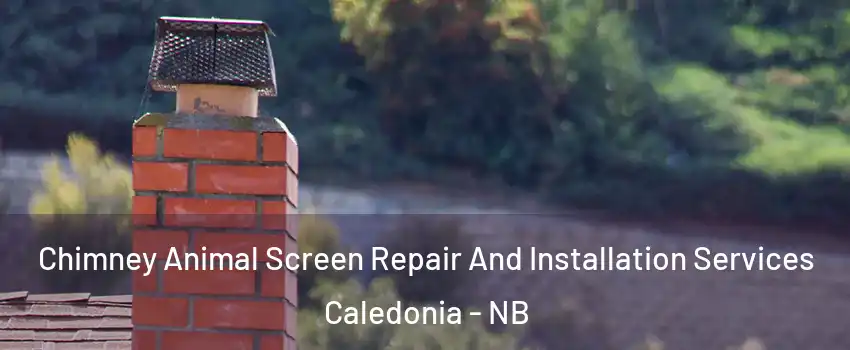  Chimney Animal Screen Repair And Installation Services Caledonia - NB