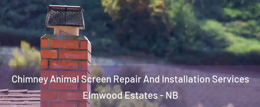  Chimney Animal Screen Repair And Installation Services Elmwood Estates - NB