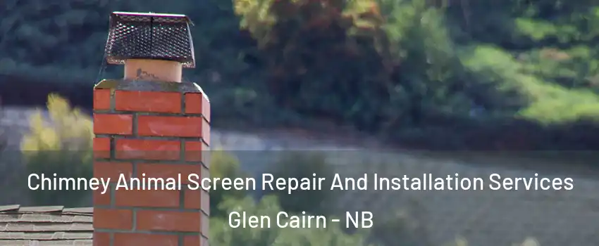  Chimney Animal Screen Repair And Installation Services Glen Cairn - NB