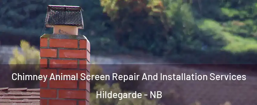  Chimney Animal Screen Repair And Installation Services Hildegarde - NB