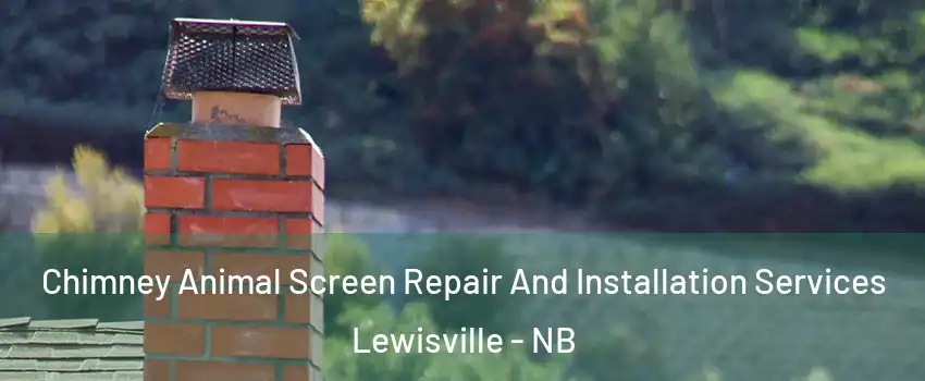  Chimney Animal Screen Repair And Installation Services Lewisville - NB