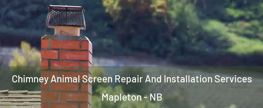  Chimney Animal Screen Repair And Installation Services Mapleton - NB