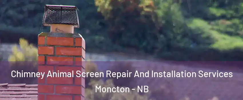  Chimney Animal Screen Repair And Installation Services Moncton - NB