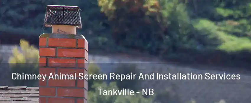  Chimney Animal Screen Repair And Installation Services Tankville - NB