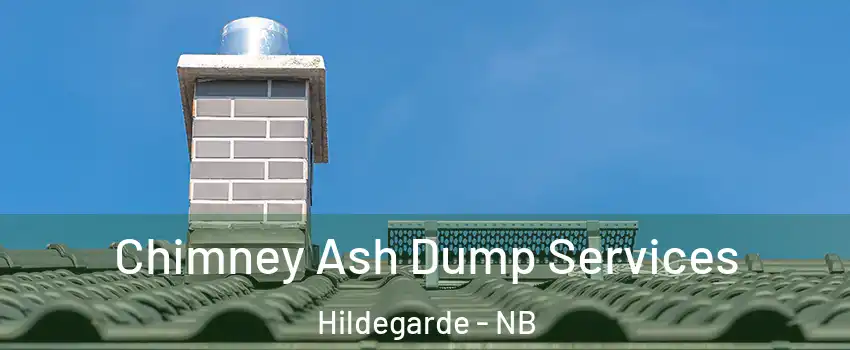  Chimney Ash Dump Services Hildegarde - NB