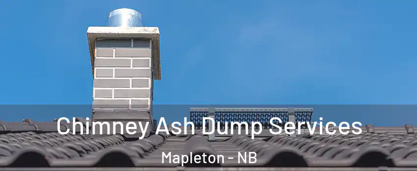 Chimney Ash Dump Services Mapleton - NB