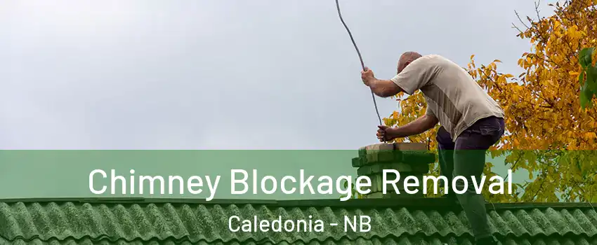  Chimney Blockage Removal Caledonia - NB