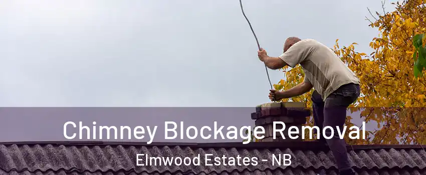  Chimney Blockage Removal Elmwood Estates - NB
