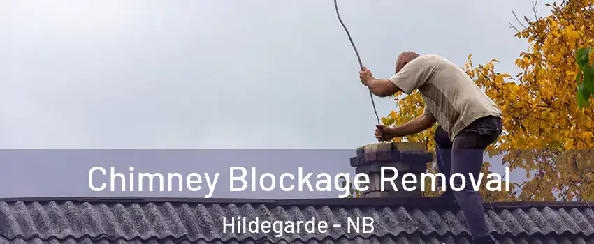  Chimney Blockage Removal Hildegarde - NB