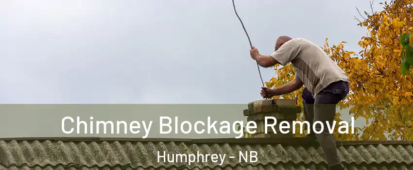  Chimney Blockage Removal Humphrey - NB
