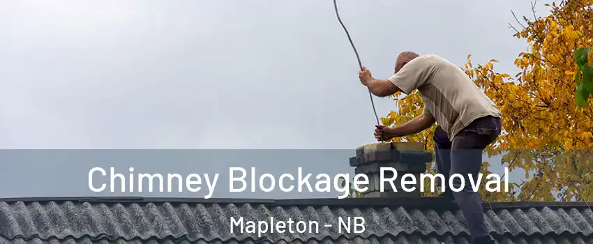  Chimney Blockage Removal Mapleton - NB