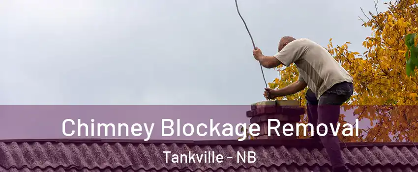  Chimney Blockage Removal Tankville - NB