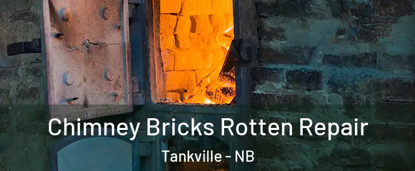  Chimney Bricks Rotten Repair Tankville - NB