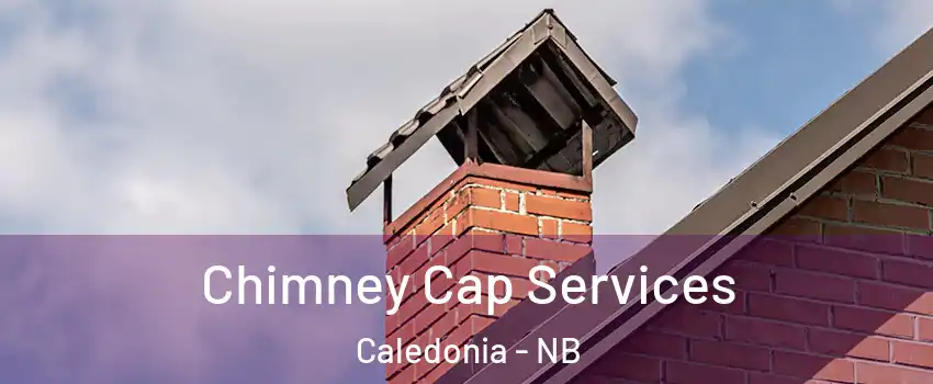  Chimney Cap Services Caledonia - NB