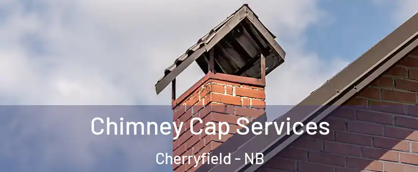  Chimney Cap Services Cherryfield - NB