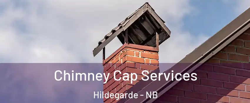 Chimney Cap Services Hildegarde - NB