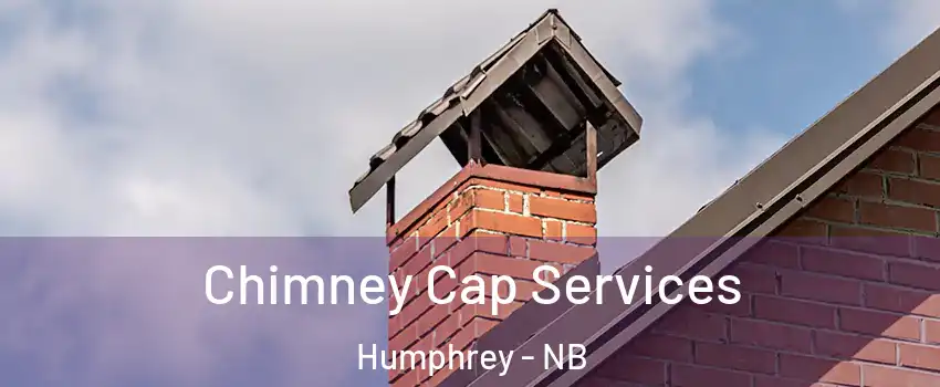 Chimney Cap Services Humphrey - NB