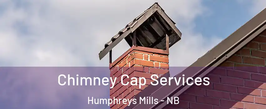  Chimney Cap Services Humphreys Mills - NB
