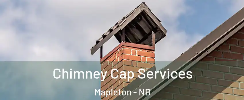  Chimney Cap Services Mapleton - NB