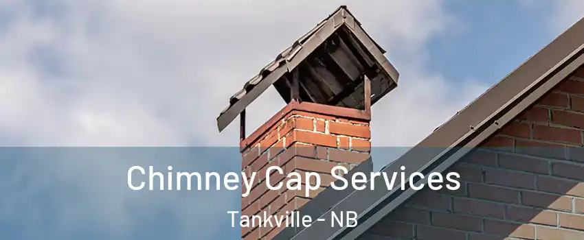  Chimney Cap Services Tankville - NB
