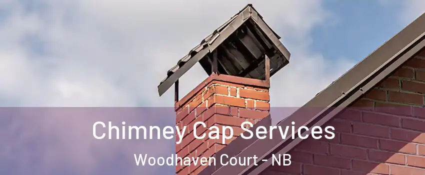  Chimney Cap Services Woodhaven Court - NB