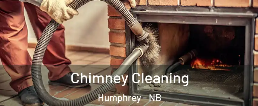  Chimney Cleaning Humphrey - NB