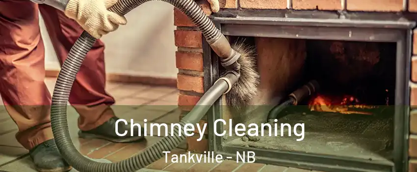  Chimney Cleaning Tankville - NB