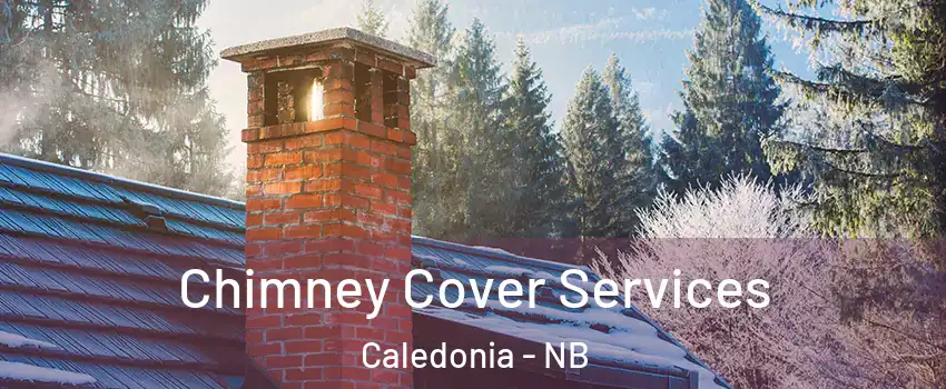  Chimney Cover Services Caledonia - NB