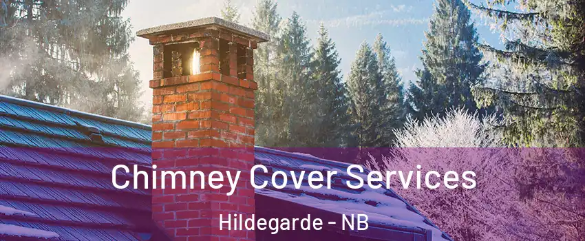 Chimney Cover Services Hildegarde - NB