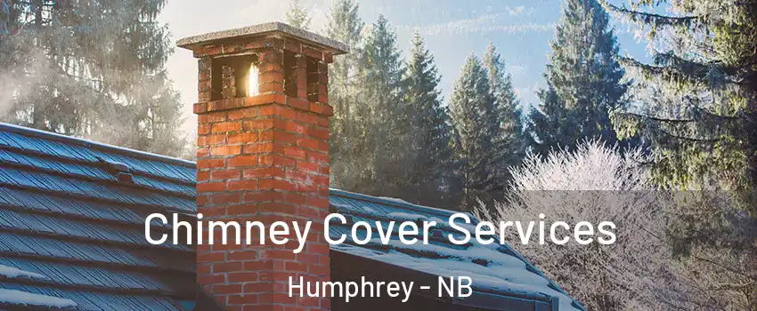  Chimney Cover Services Humphrey - NB
