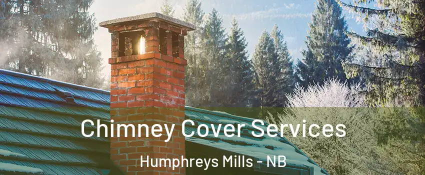  Chimney Cover Services Humphreys Mills - NB