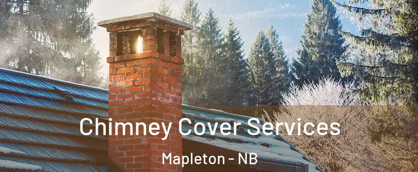  Chimney Cover Services Mapleton - NB
