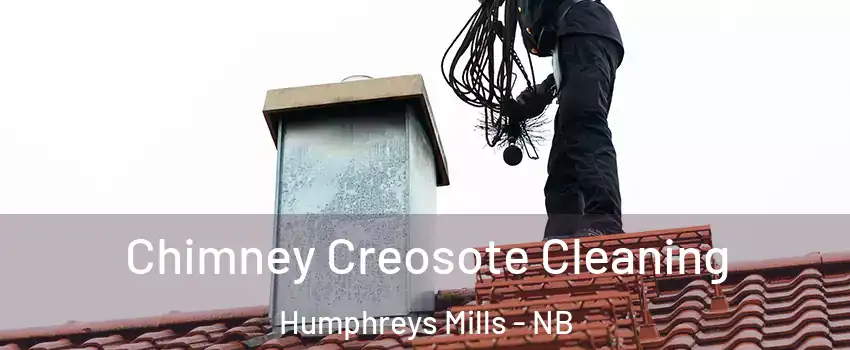  Chimney Creosote Cleaning Humphreys Mills - NB