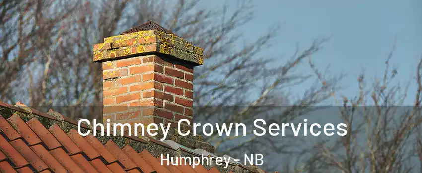  Chimney Crown Services Humphrey - NB