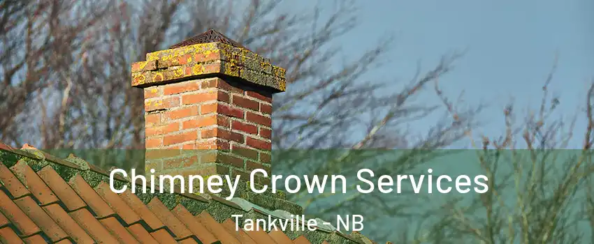  Chimney Crown Services Tankville - NB