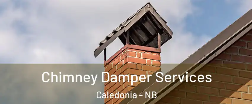  Chimney Damper Services Caledonia - NB