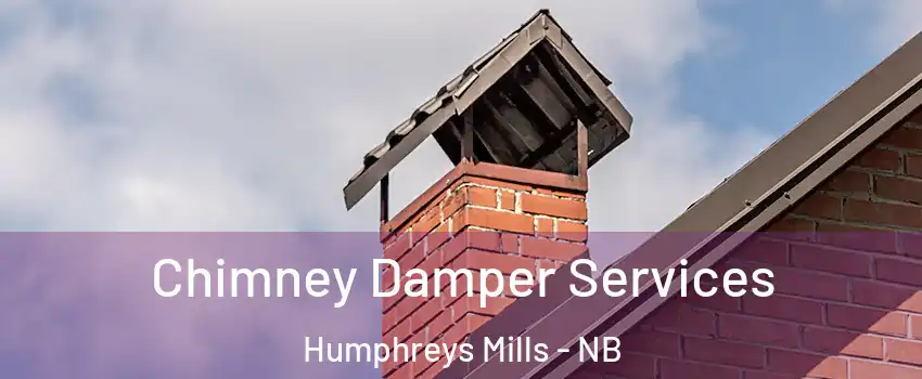  Chimney Damper Services Humphreys Mills - NB