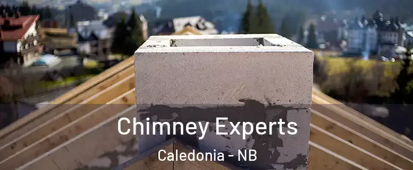 Chimney Experts Caledonia - NB