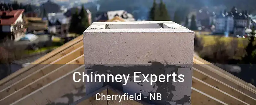 Chimney Experts Cherryfield - NB
