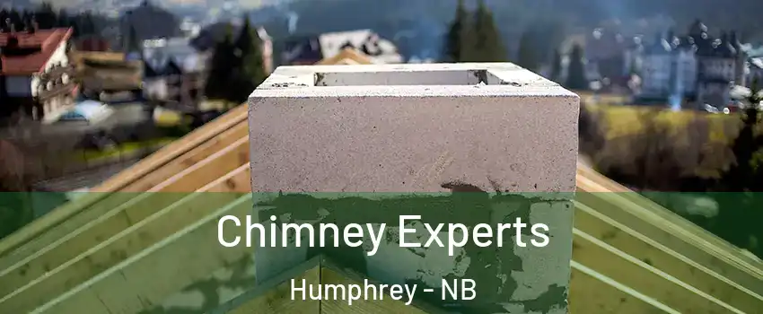 Chimney Experts Humphrey - NB